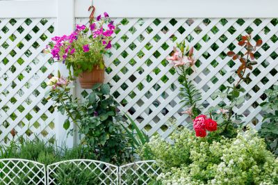 vinyl fencing